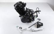 Zongshen 250cc Motor 169FMM Luftkhlung Schwarz Enduro,Motocross
